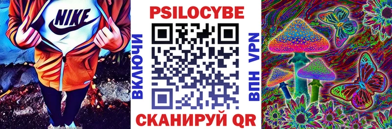 Псилоцибиновые грибы Psilocybine cubensis  купить наркотики цена  Бор 